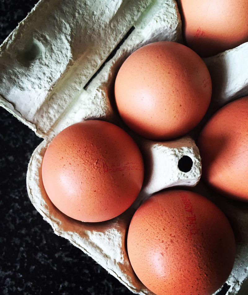 trazabilidad de los huevos modelo europeo producción