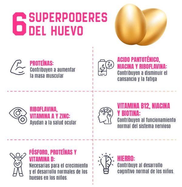 seis beneficios del huevo