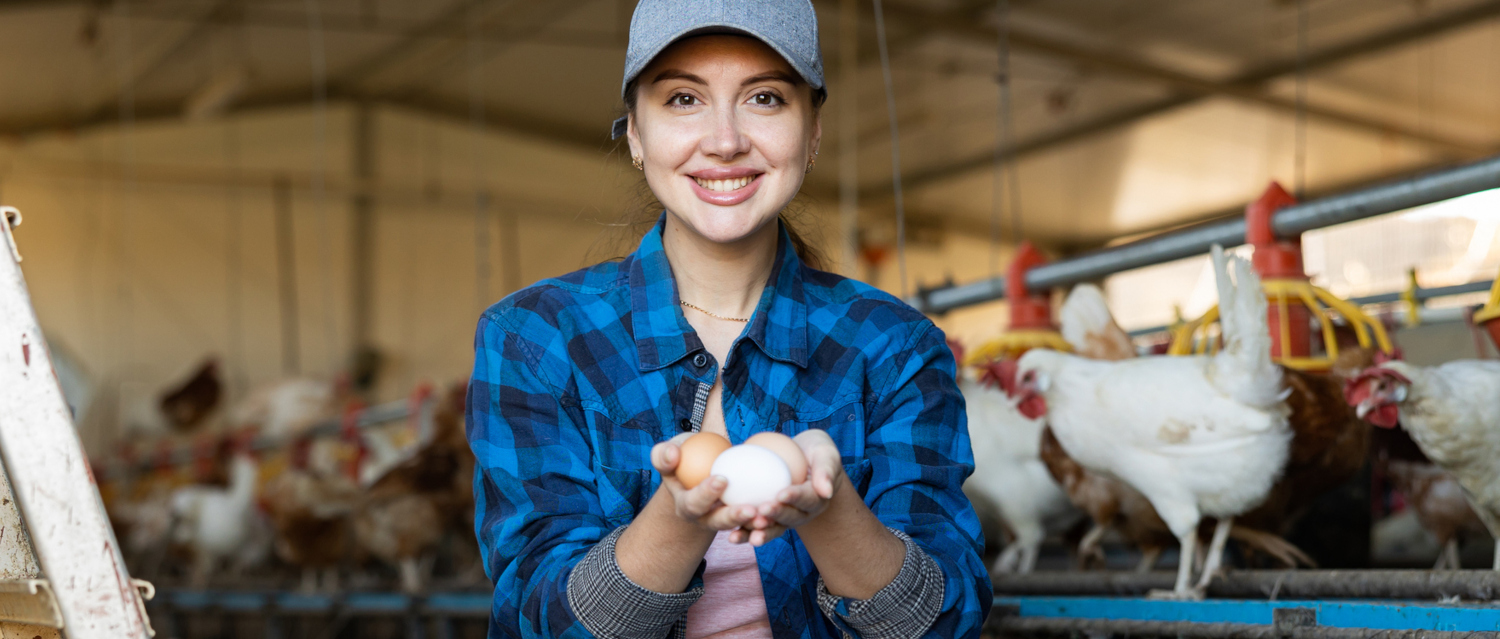 Modelo europeo de producción de huevos
