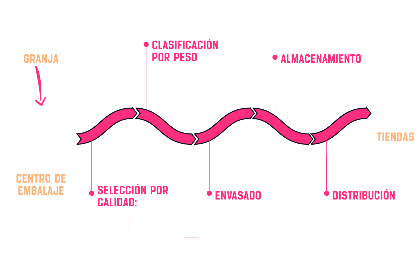 infografia trazabilidad huevos europa