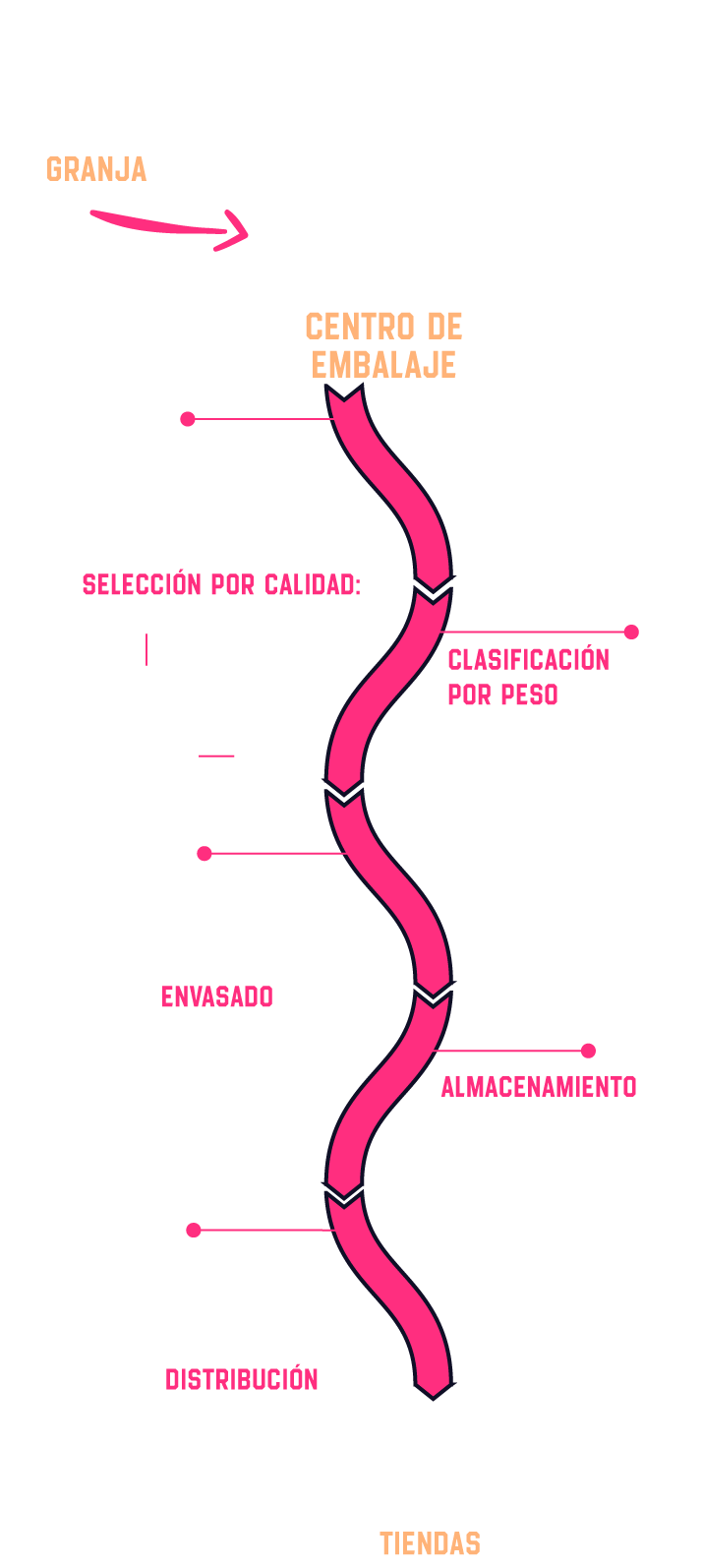 infografia trazabilidad huevos europa