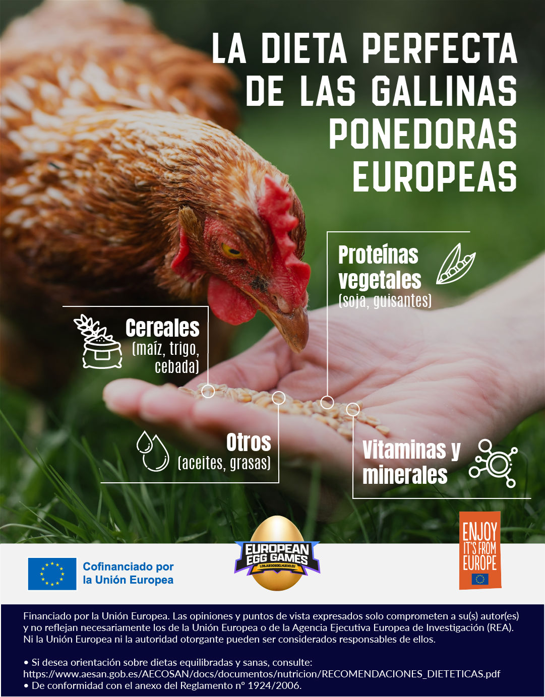 que comen las gallinas huevos en europa