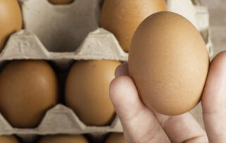 preguntas y respuestas sobre los huevos