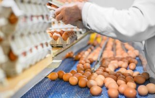 Sistema de control APPCC en la producción europea de huevos