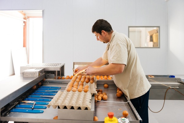Huevos europeos un alimento seguro de confianza