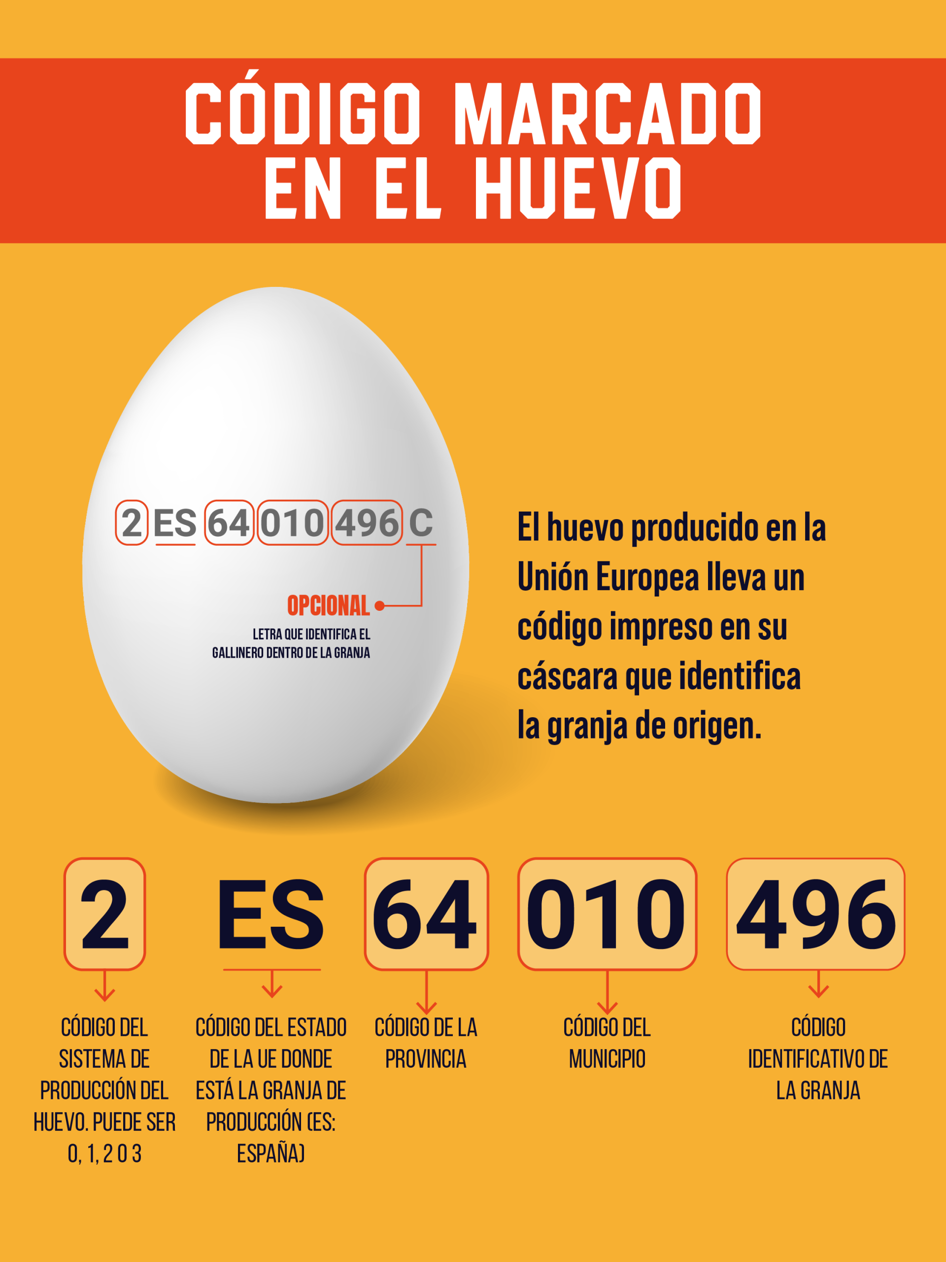 Código cáscara huevo