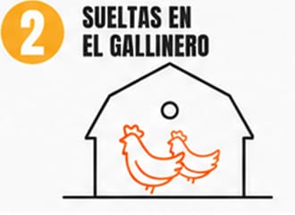 Código 2