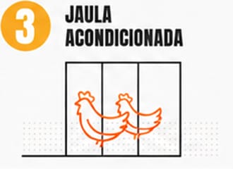 Código 3