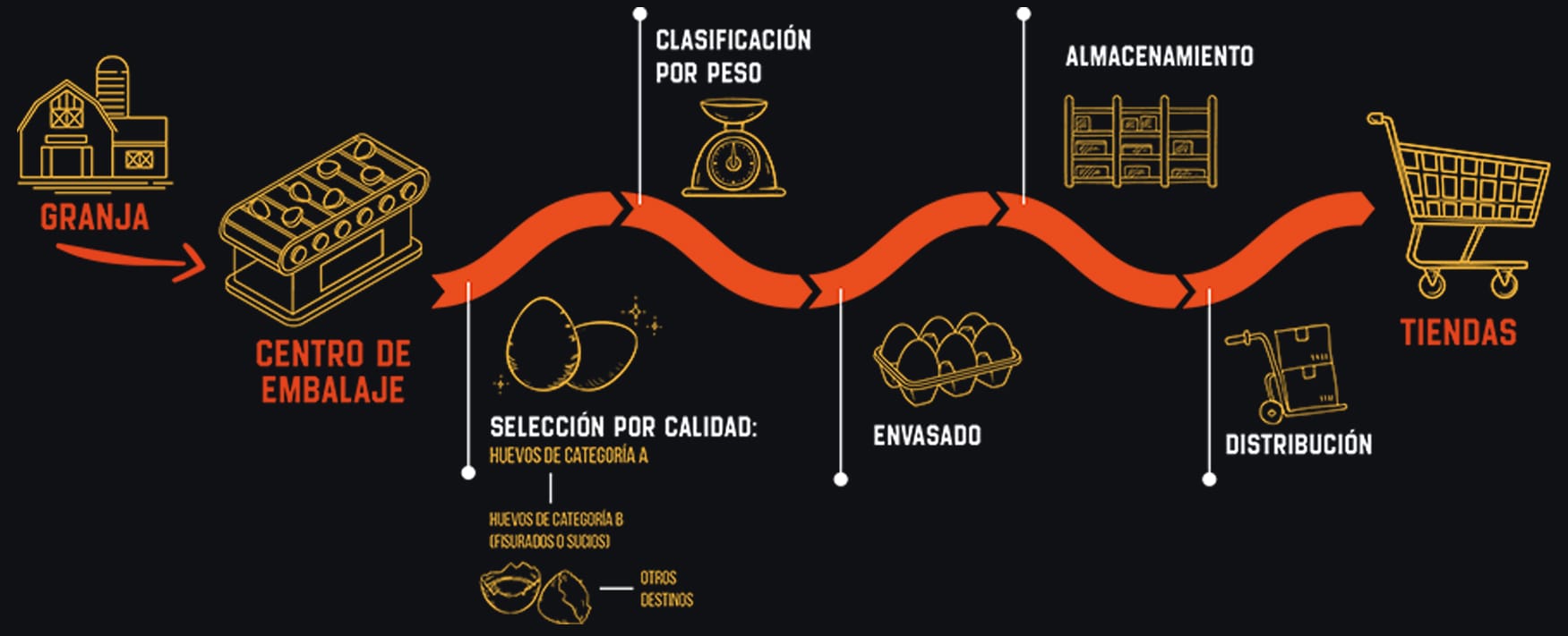 Trazabilidad esquema